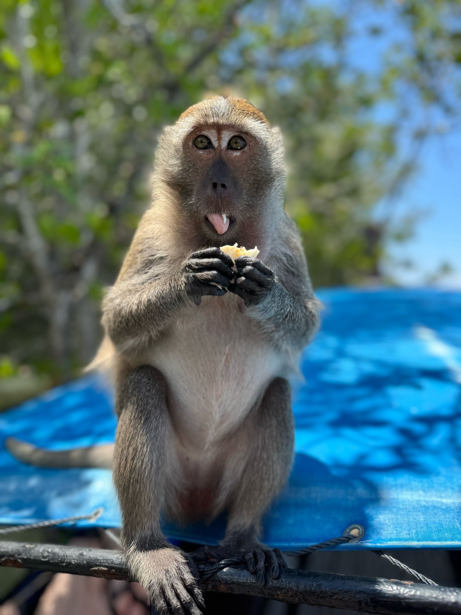 430357f6 e41b 40c8 a103 3c1f06cc6c53